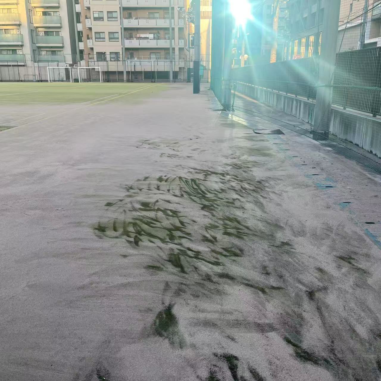 中央高校テニスコート苔取りメンテナンス